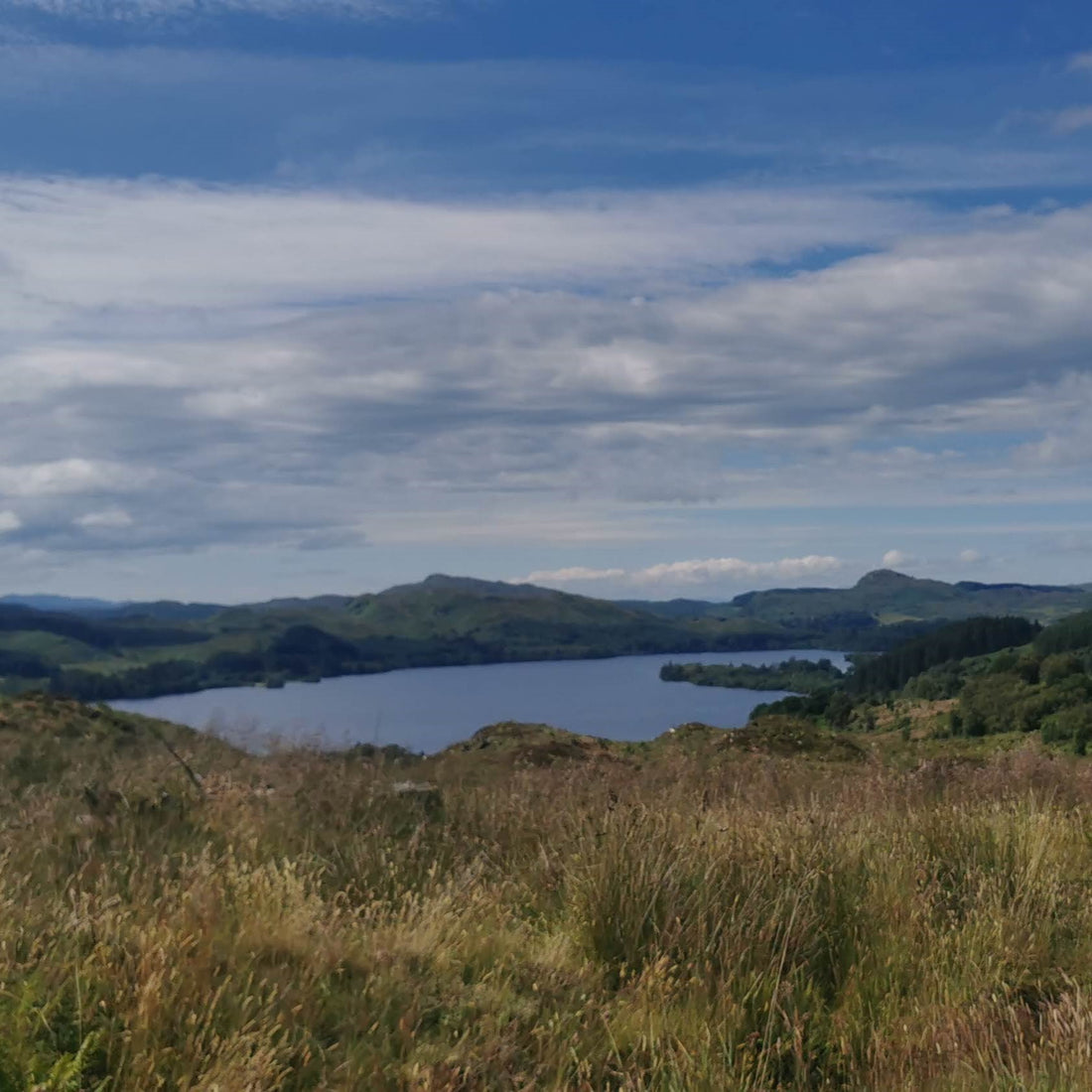 Beautiful Scottish landscape with grasslands and lake. 