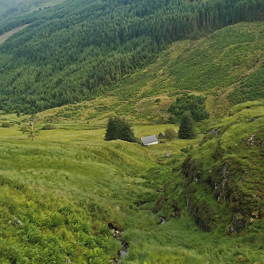 Lush green landscape with mountains and valley a small cottage in the distance. 