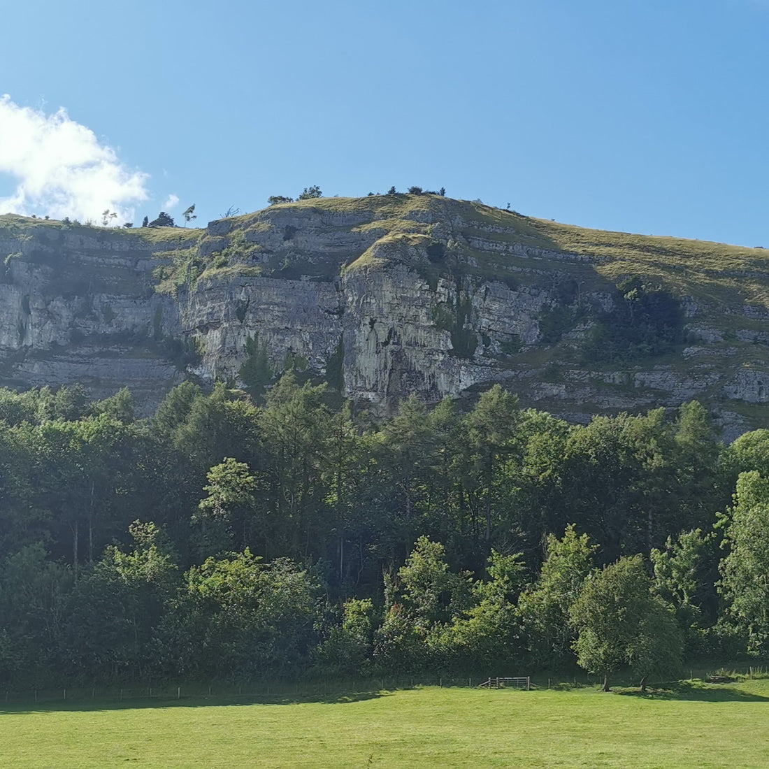 Blue sky with a grass topped mountain in the background and lush green vegetation in the foreground. 